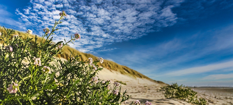 Strand mit Meer im Hintergrund